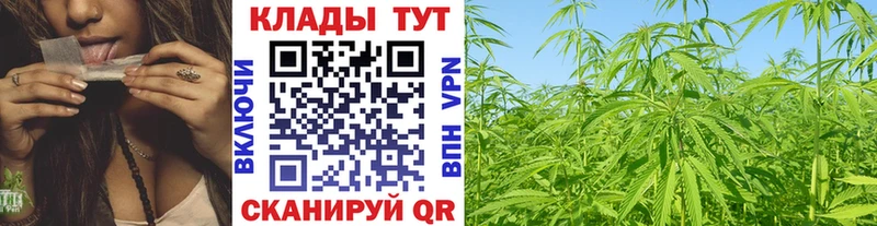 Купить наркотики сайты Канаш Псилоцибиновые грибы Меф ГАШИШ Канабис A-PVP