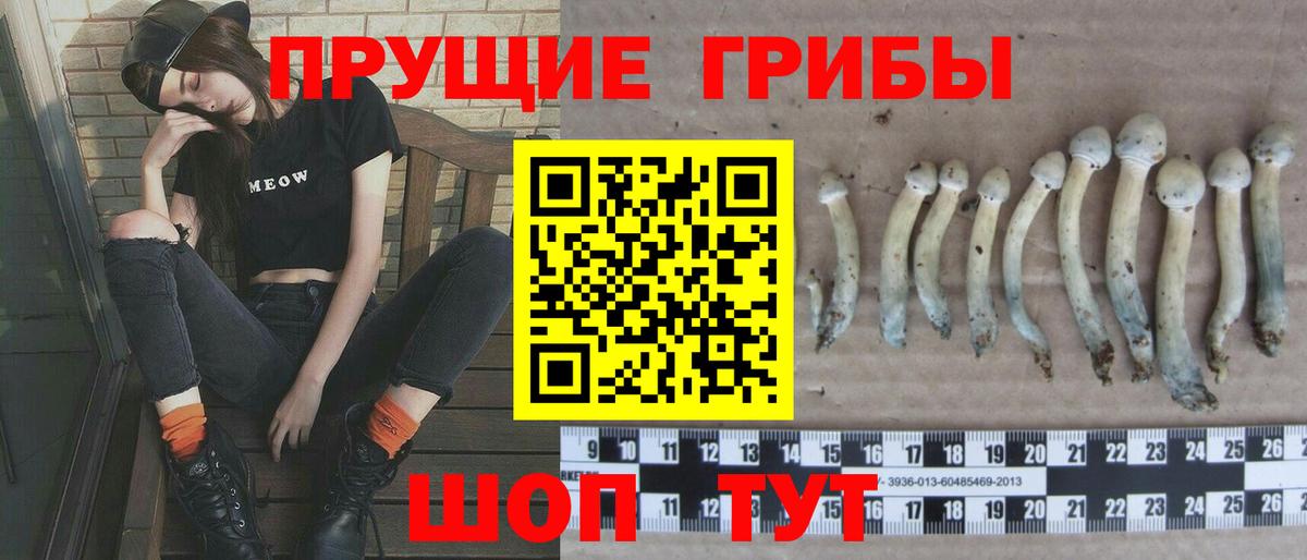 Канаш  Галлюциногенные грибы мухоморы  Вход с VPN  купить   Галлюциногенные грибы мицелий 